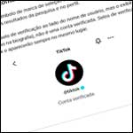 Aprenda como ser verificado no TikTok